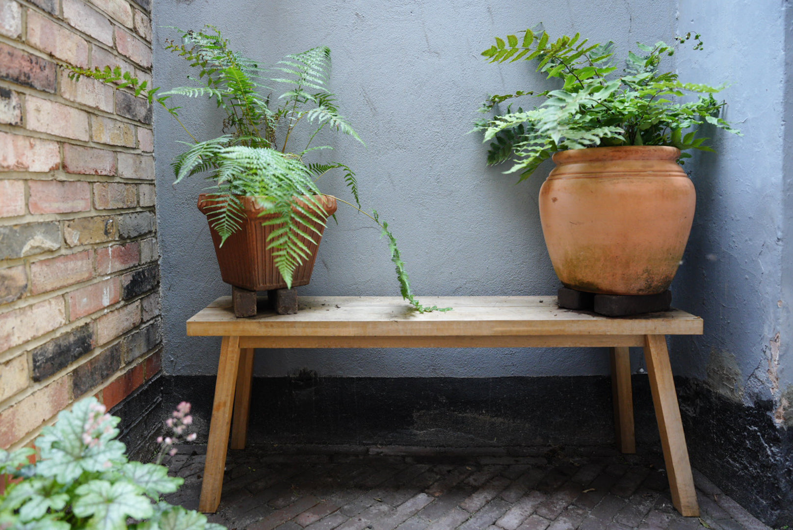 Collected vintage terracotta pots and ferns styled on a wooden bench in a cottagecore garden space.