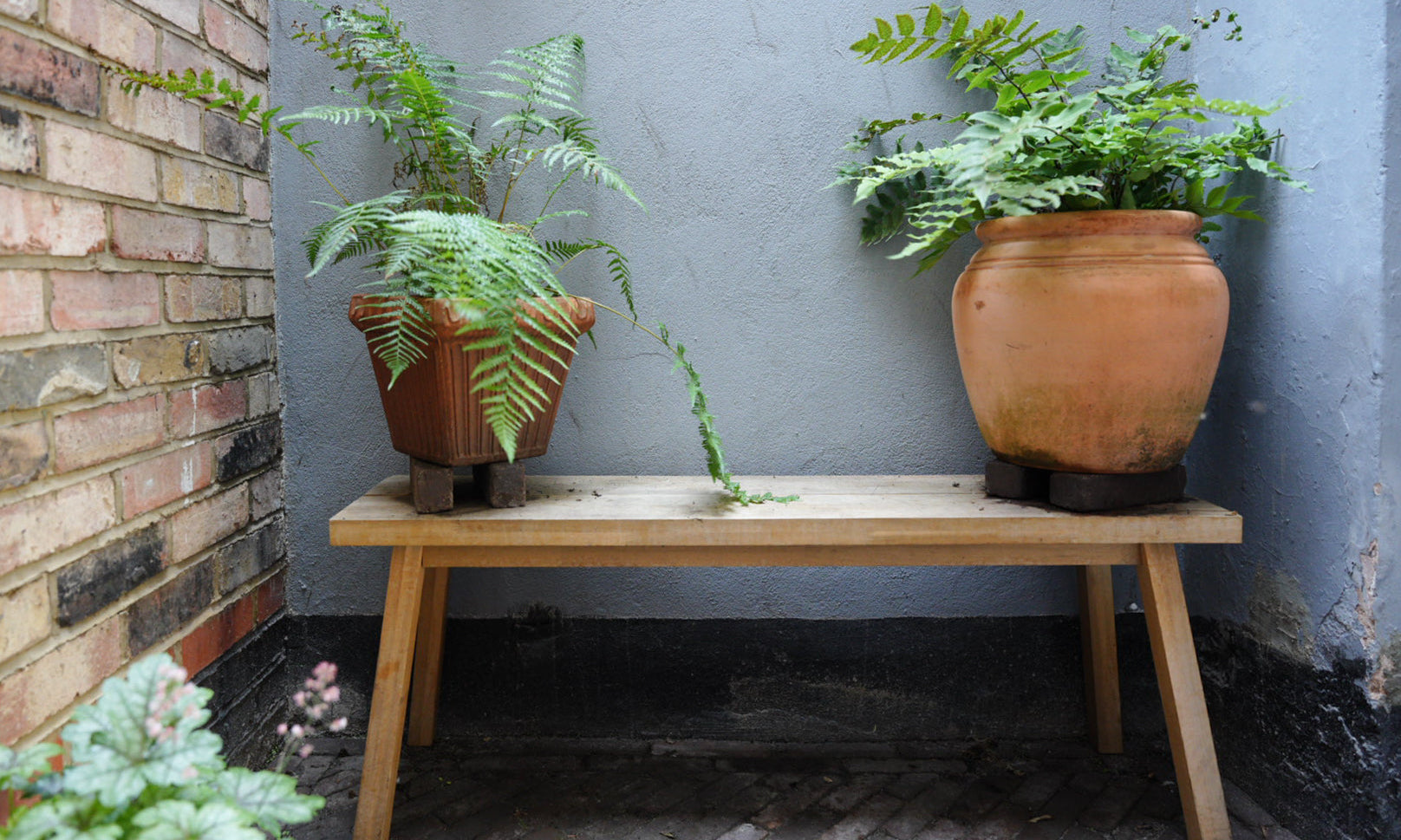 Collected vintage terracotta pots and ferns styled on a wooden bench in a cottagecore garden space.