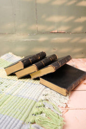 Antique Mini Shakespeare Books Set