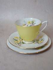 Royal Albert Yellow Primrose Tea Set