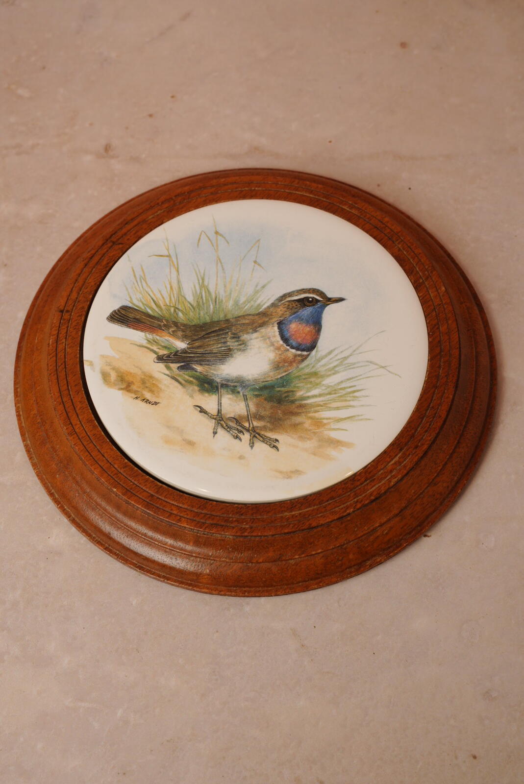 Vintage Bluethroat Bird Wall Plaque