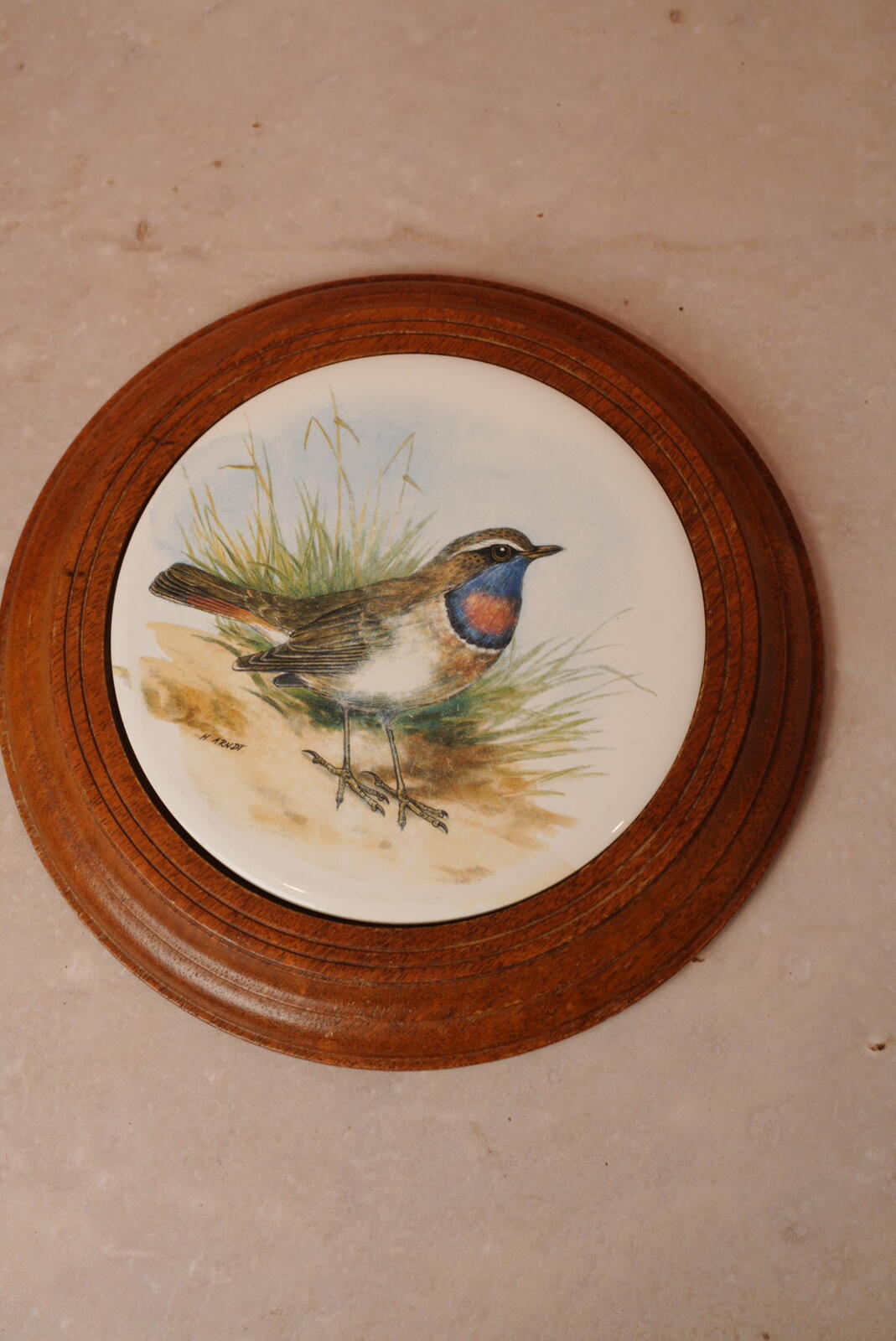 Vintage Bluethroat Bird Wall Plaque