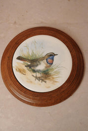 Vintage Bluethroat Bird Wall Plaque