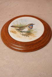 Vintage Bluethroat Bird Wall Plaque