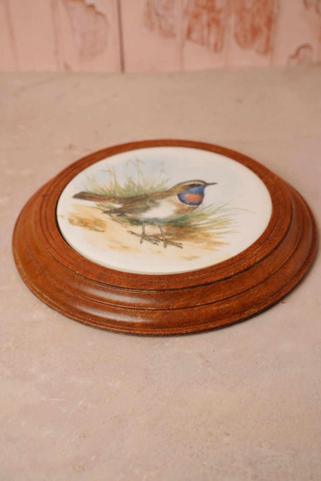 Vintage Bluethroat Bird Wall Plaque