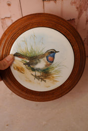 Vintage Bluethroat Bird Wall Plaque