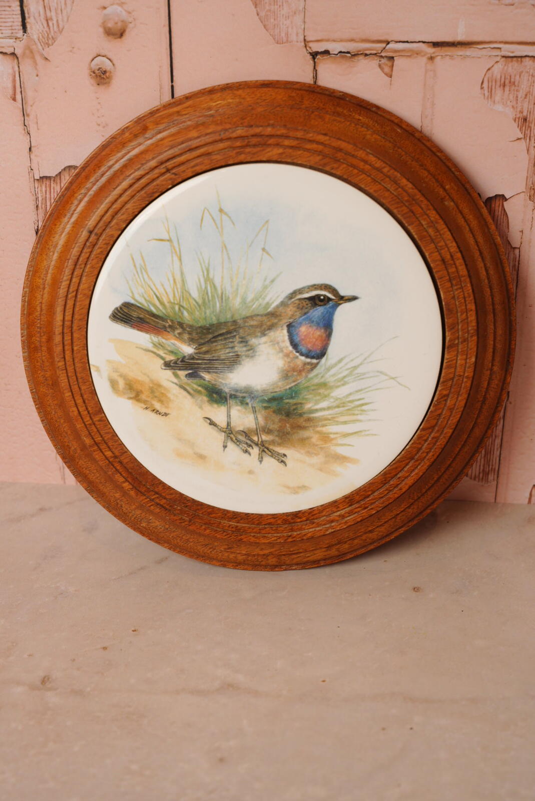 Vintage Bluethroat Bird Wall Plaque