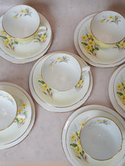 Royal Albert Yellow Primrose Tea Set