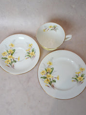 Royal Albert Yellow Primrose Tea Set