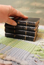 Antique Mini Shakespeare Books Set